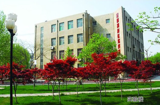 淄博市工業學校開設哪些計算機課程？