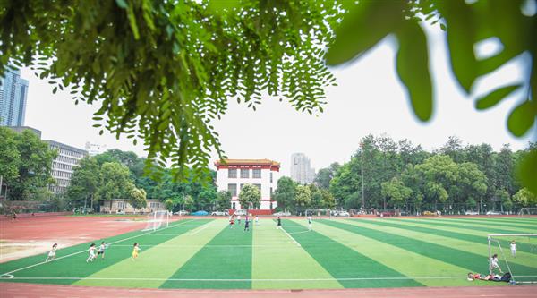 為什么選擇青島滿天星職業培訓學校？