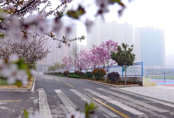 河北大學新世紀函授站成人高考輔導班怎么樣？