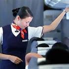 航空服務（票務、安檢方向）、航空乘務定向委培